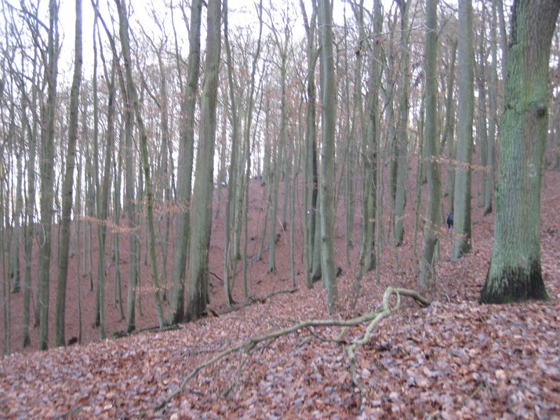 CTF-P Hitzacker 096